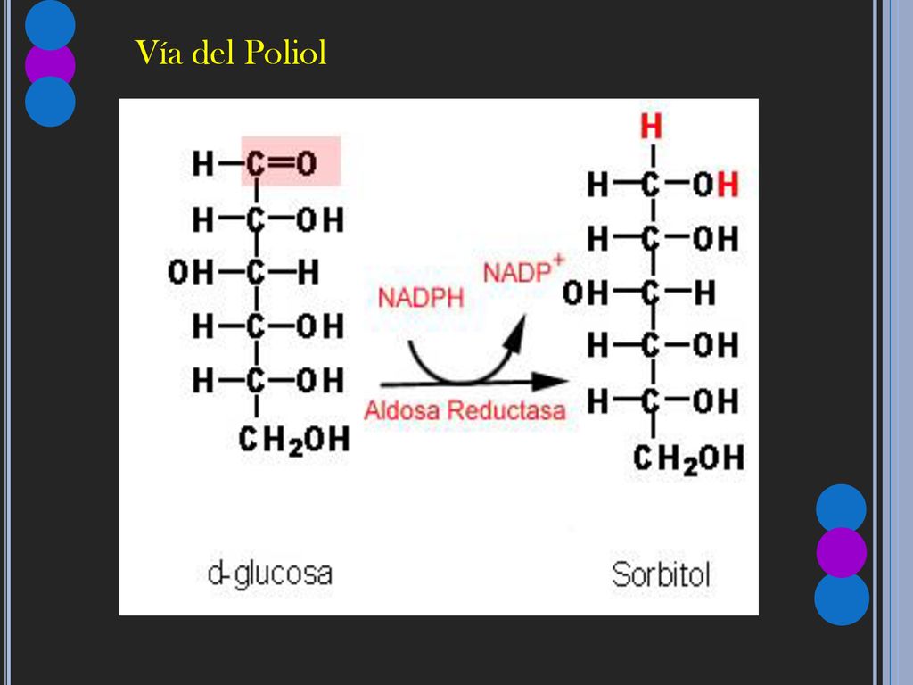 diabetes de la vía galactosa-poliol diabetes de la vía galactosa-poliol